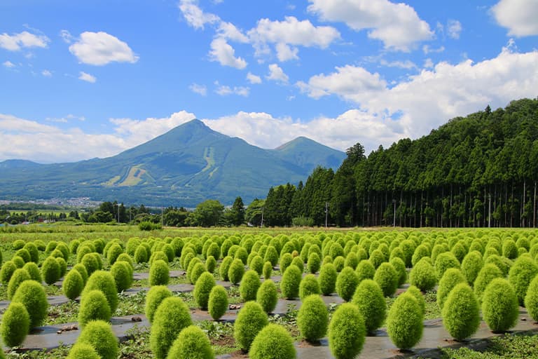 福島のレンタカー予約
